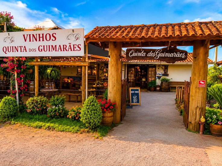 City Tour Rota do Vinho