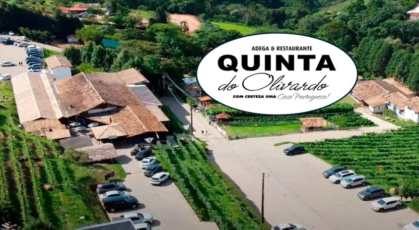 City Tour Rota do Vinho