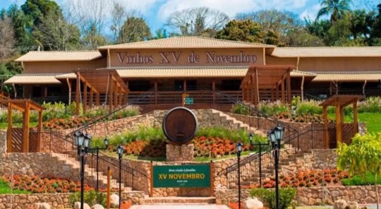 City Tour Rota do Vinho